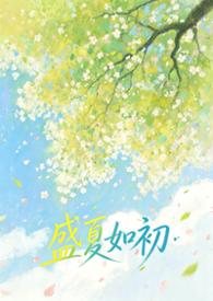 《盛夏如风来》